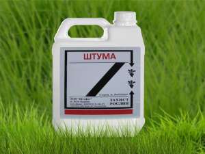 ������ �������� ���� ����� (�����), ����������� - ����������� 1