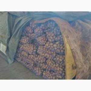 ������ ��������, ���� �����, ���������� ������. - ����������� 1