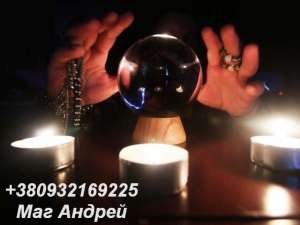 ������ �������� ���� ������� . ������� �� ����. ������ ����� �������. - ����������� 1