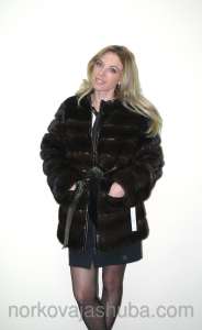 ������ �������� ���� ����������� - ����������� 1