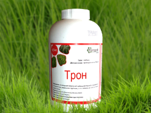 ������ �������� ����� - ����������� 1