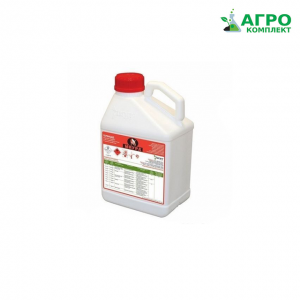 ������ �������� ����� - ����������� 1