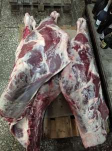 ������ �������� ����� - ����������� 1