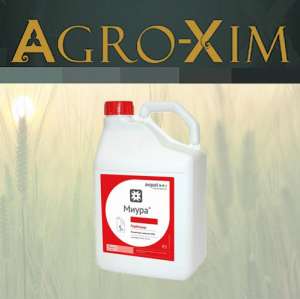 ������ �������� ����� - ����������� 1