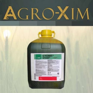 ������ �������� ����� - ����������� 1