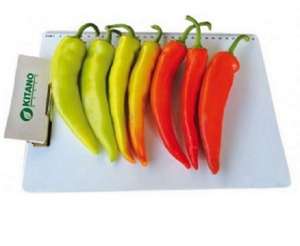 ������ �������� ����� Kampai F1 / ������ F1 ����� ������ - ����������� 1