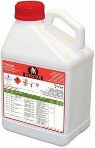 ������ �������� ����� �������� - ����������� 1