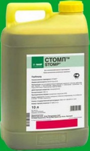 ������ �������� ����� ����������� - ����������� 1