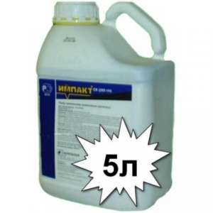 ������ �������� ������ - ����������� 1