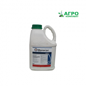 ������ �������� ������� - ����������� 1