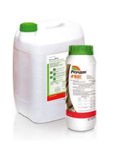 ������ �������� �������, ���� - ����������� 1