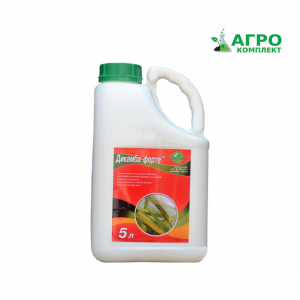 ������ �������� ������� ����� - ����������� 1