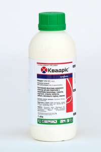 ������ �������� ������� ������� - ����������� 1