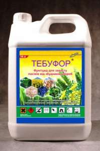 ������ �������� ������� (�������), ����������� - ����������� 1