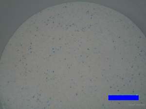 ������ �������� ������� �������� ������� �� ��������� - ����������� 1