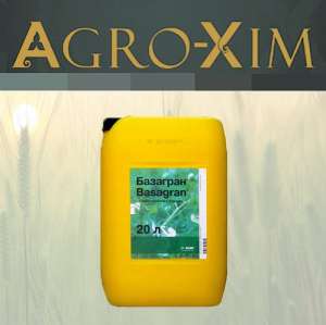 ������ �������� �������� - ����������� 1