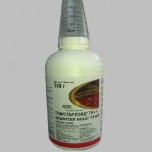 ������ �������� �������� ��� - ����������� 1