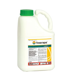 ������ �������� �������� ��������, ���� - ����������� 1