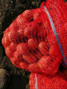 ������ �������� ���������. 1 �����������. - ����������� 1