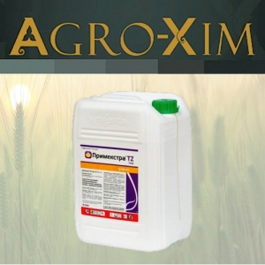 ������ �������� ���������� TZ ���� - ����������� 1