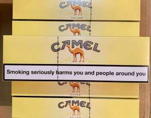 ������ �������� ���������� �������� ����� - ����������� 1