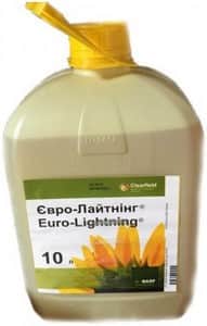 ������ �������� ����������� ��������. - ����������� 1