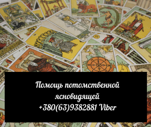 ������ �������� �����������. ��������� ���������. ������ �� ����������. - ����������� 1