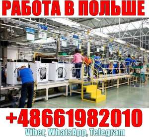 ������. ��������: ������������ ������� �������. - ����������� 1