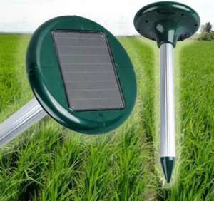 ������ �������� ������������� �� 2015 �� ������� ����, ������ ����� ������������ �� 2015 - ����������� 1