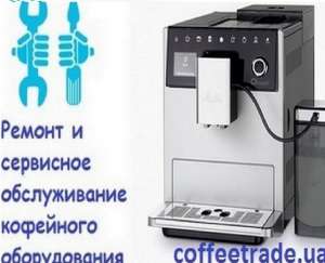 ������ ��������� � �����. ������ ���������� Mellita. - ����������� 1