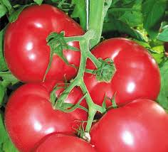 ������ ��������� � ������ ������ 2020, || ���� ����� B&SProduct �������� ����. - ����������� 1