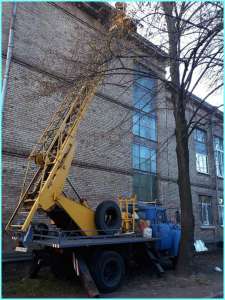 ������ ��������� ��17, ����. ����������� ������ � ���. ������������� - ����������� 1