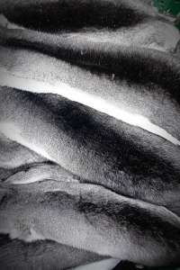 ������ ��������� �����, ������ �� ����� ��������� - ����������� 1