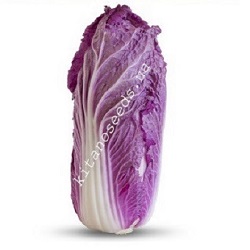 ������ ��������� ������� KS 888 F1 (������) - ����������� 1