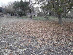 ������ ��������� ������� � ����� - ����������� 1