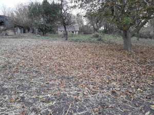 ������ ��������� ������� � ����� � �. ���������� - ����������� 1