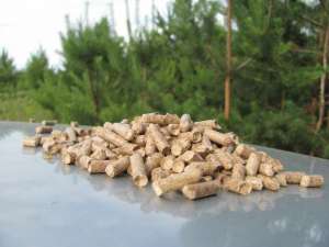 ������ ��������� ������� ������� 6 �� � ��� ����� - ����������� 1