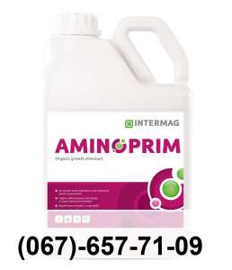 ������ ���������. ����������� ����� ���������. ������������� Intermag - ����������� 1