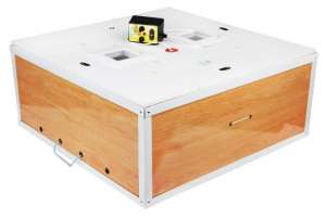 ������ ��������� ������������ �� 130 ��� �������� ������� ���� - ����������� 1