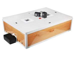 ������ ��������� �������������� ������� ���� 120 (�� 120 ���) - ����������� 1