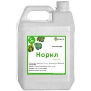 ������ ���������� ����� (����� �) ������� - ����������� 1