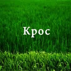 ������ ���������� ����� �������� ���� - ����������� 1