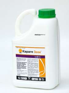 ������ ���������� ������ ����. - ����������� 1