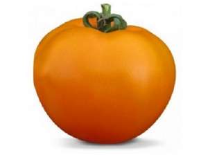 ������ ���������� ������ ����� (KS 18 F1) ����� ������ - ����������� 1