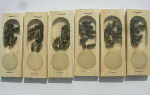 ������ ���������� �������� - ����������� 1