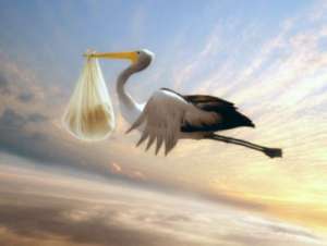 ������ ���������� ���������� ������� - ����������� 1