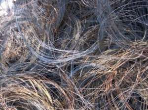 ������ ����������� - ����������� 1