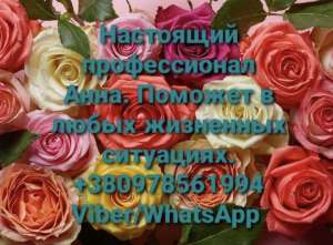 ������ ����������� �� ����������. - ����������� 1