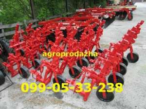 ������ ����������� �� ����������� - ���� ��������� - ����������� 1