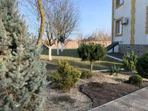 ������ ����������� ��� �. ����� - ����������� 1